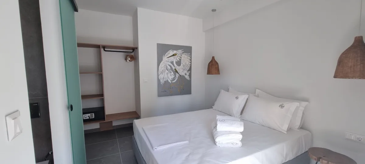 Luxury Suite room
