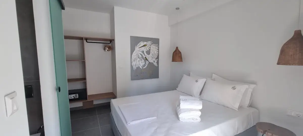 Luxury Suite room