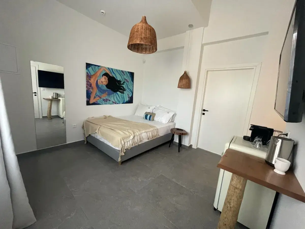 Disability friendly Suite room